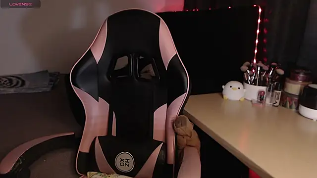 Theprojectsaraa webcam