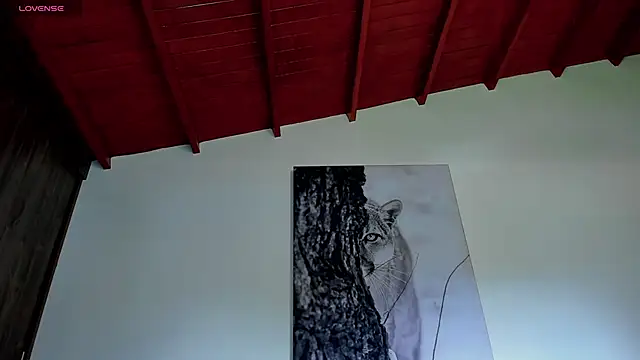 Santos_ramirez1 webcam