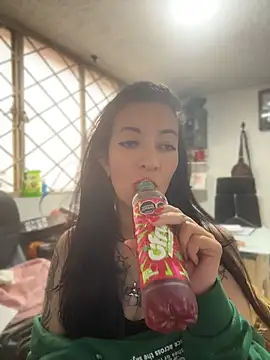 SALOME_KORLAND webcam