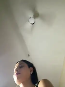 torchermachine webcam