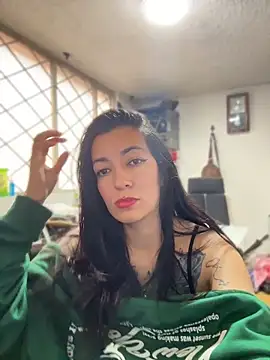 SALOME_KORLAND webcam