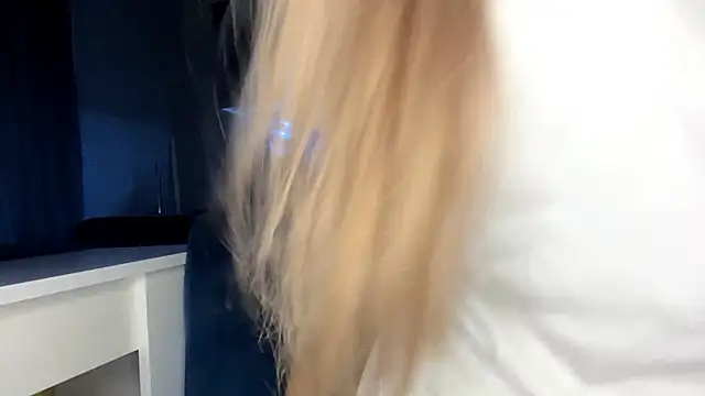 LevelledPilot webcam