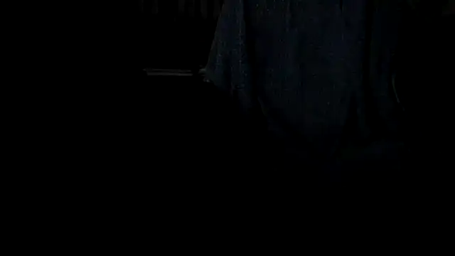 leccaleccafiga webcam