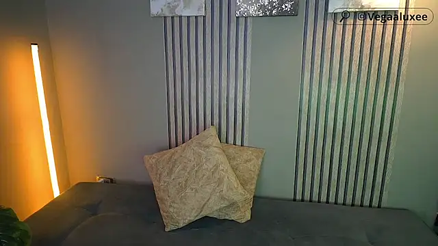 VegaLuxe webcam