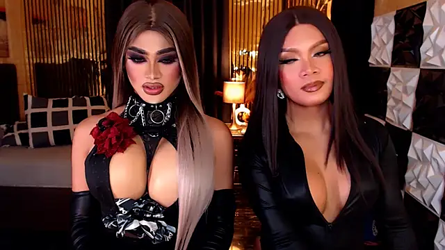 StellaPerkins webcam