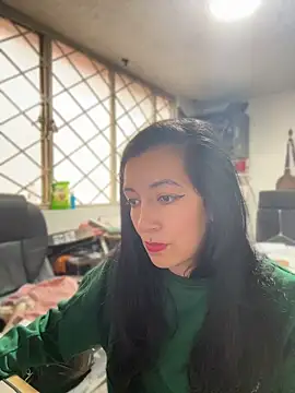 SALOME_KORLAND webcam