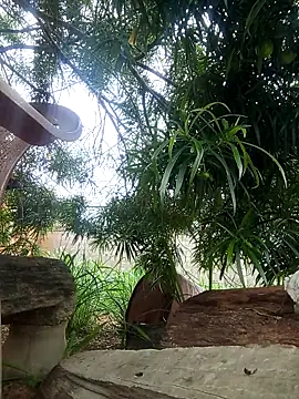 UnreadyChutzpa webcam