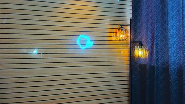 TheBatMansion webcam