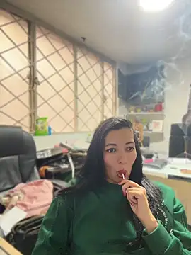 SALOME_KORLAND webcam