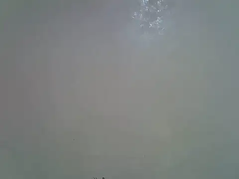 Rasta_tattooed webcam