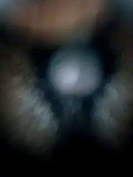 pussyin_monstercock143 webcam