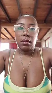 ChanneldelaCroix webcam