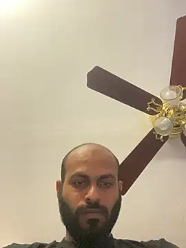 islandvybee55 webcam