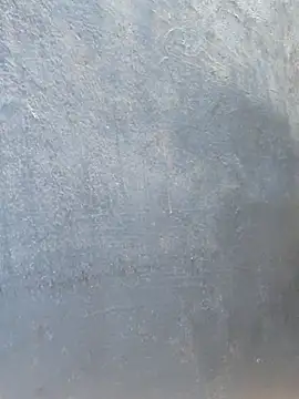 tamilthanushri webcam