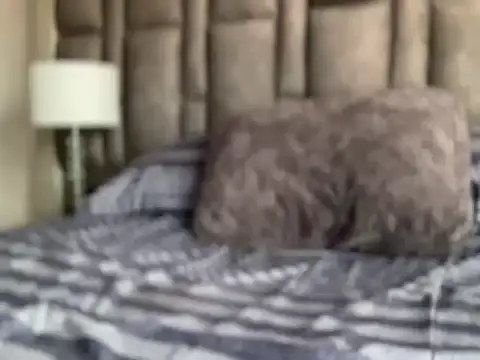 alexandergrey760886 webcam