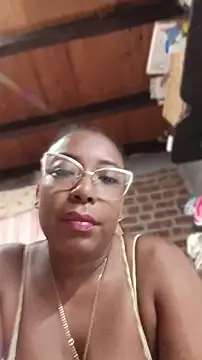 ChanneldelaCroix webcam