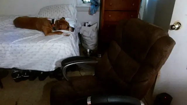 DADDY_KANE8--- webcam