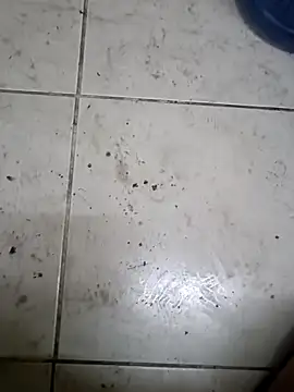 ConvoyedSubgroup webcam