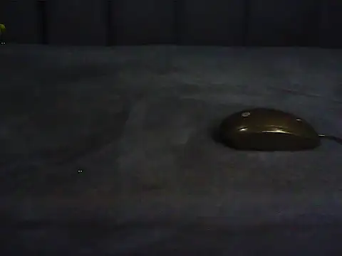 Adaline-Paris webcam