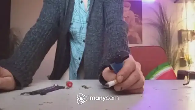 Preview of der_dino30