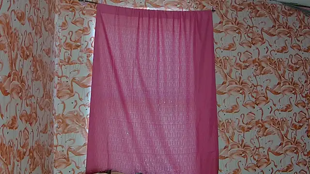 shelikessoymilk webcam