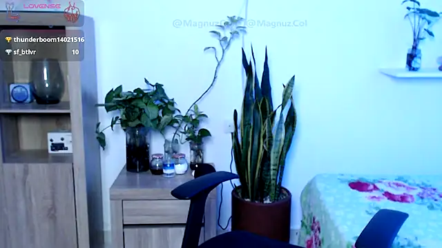 Preview of magnuz_col