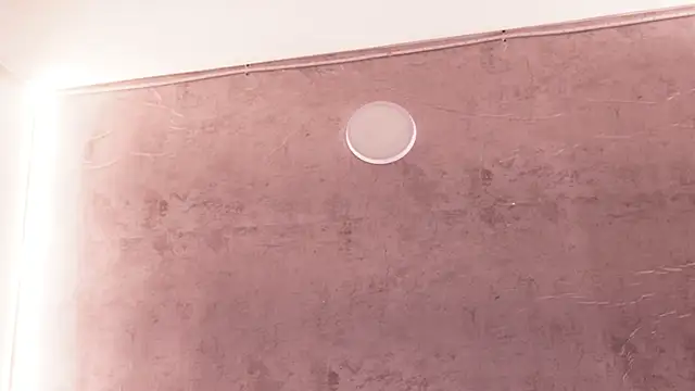 Nicky_and_Blake webcam