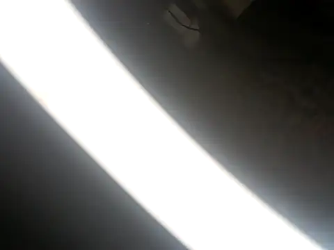 Tata_and_Joker webcam