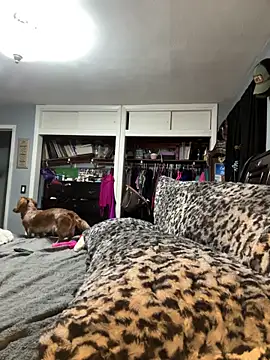 sweetkacibaby webcam