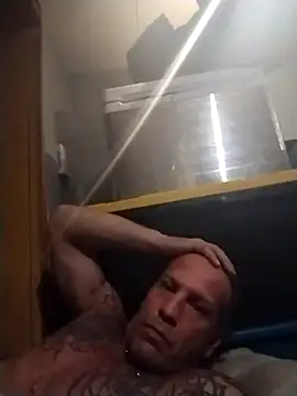 AceticPinscher webcam