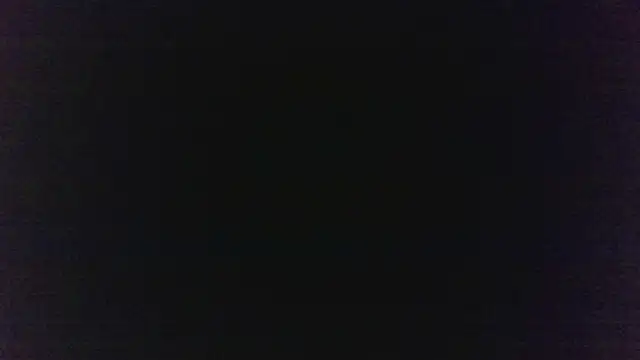 MuseChic_Wild webcam