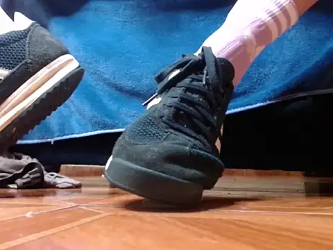 alphaswitchard webcam