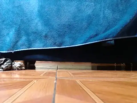 alphaswitchard webcam