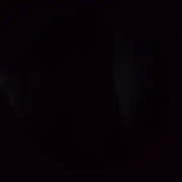 best_behavior (M young) - Cum show