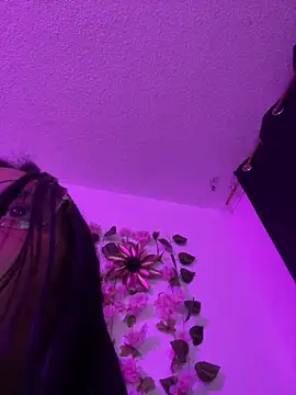 Dominic_Schmit01 webcam