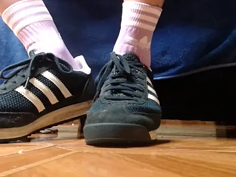 alphaswitchard webcam