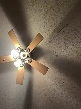 carlithefreak webcam