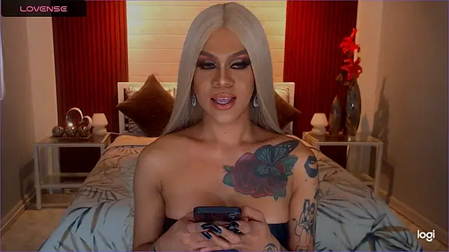 StellaStrong30 webcam