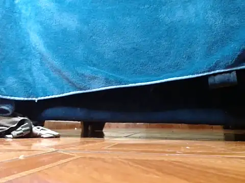 alphaswitchard webcam