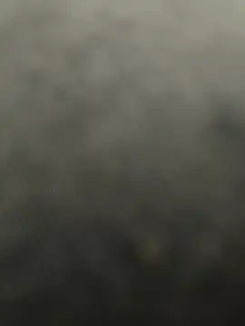 Preview of high_geil