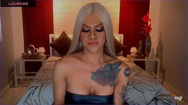 StellaStrong30 webcam