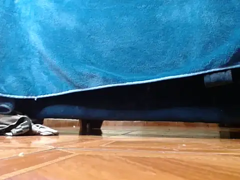 Preview of alphaswitchard