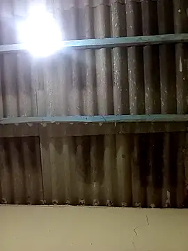 Preview of adriabis013