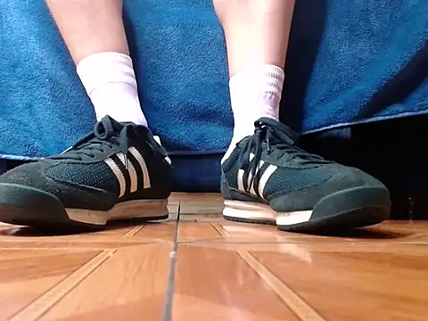 alphaswitchard webcam