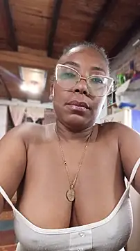 ChanneldelaCroix webcam