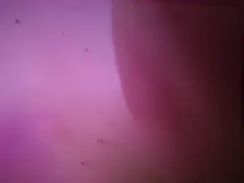 Preview of chronic_vibez