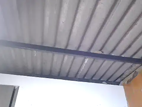 sophiadaza666 webcam