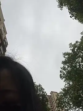 美女maomao116在线直播