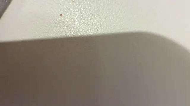 shyboy-25 (Ask my age) - #anal #anal-toys #big-cocks #blowjob #cam2cam #cheapest-privates #colorful #daddies #deepthroat #dildo-or-vibrator #dirty-talk #doggy-style #ejaculation #erotic-dance #fingering #fisting #flashing #gagging #handjob #hd #humiliation #masturbation #muscular #nipple-toys #office #oil-show #orgasm #penis-ring #rimming #selfsucking #sex-toys #sexting #shaven #shower #small-audience #smoking #spanking #straight #striptease #student #twerk #uk-models #uncut #white