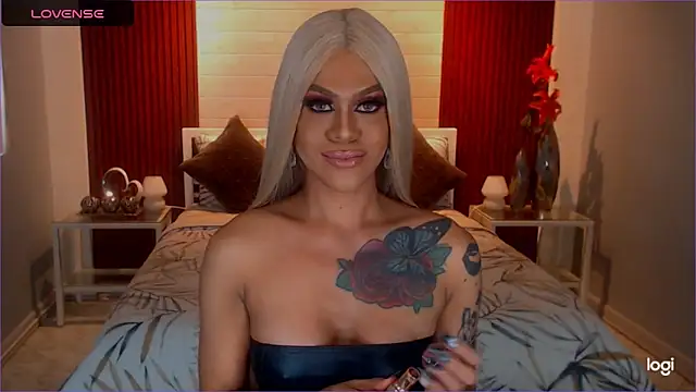 StellaStrong30 webcam